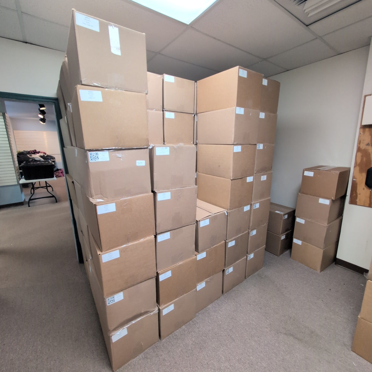 Wholesale Women’s Clothing Pallet (Apx 500 pc LOT) Grade A Inventory SHIPS FREE
